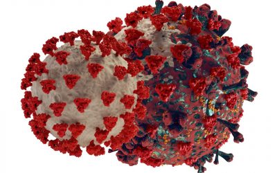 Covid Virus Illustration Showing A Mutation