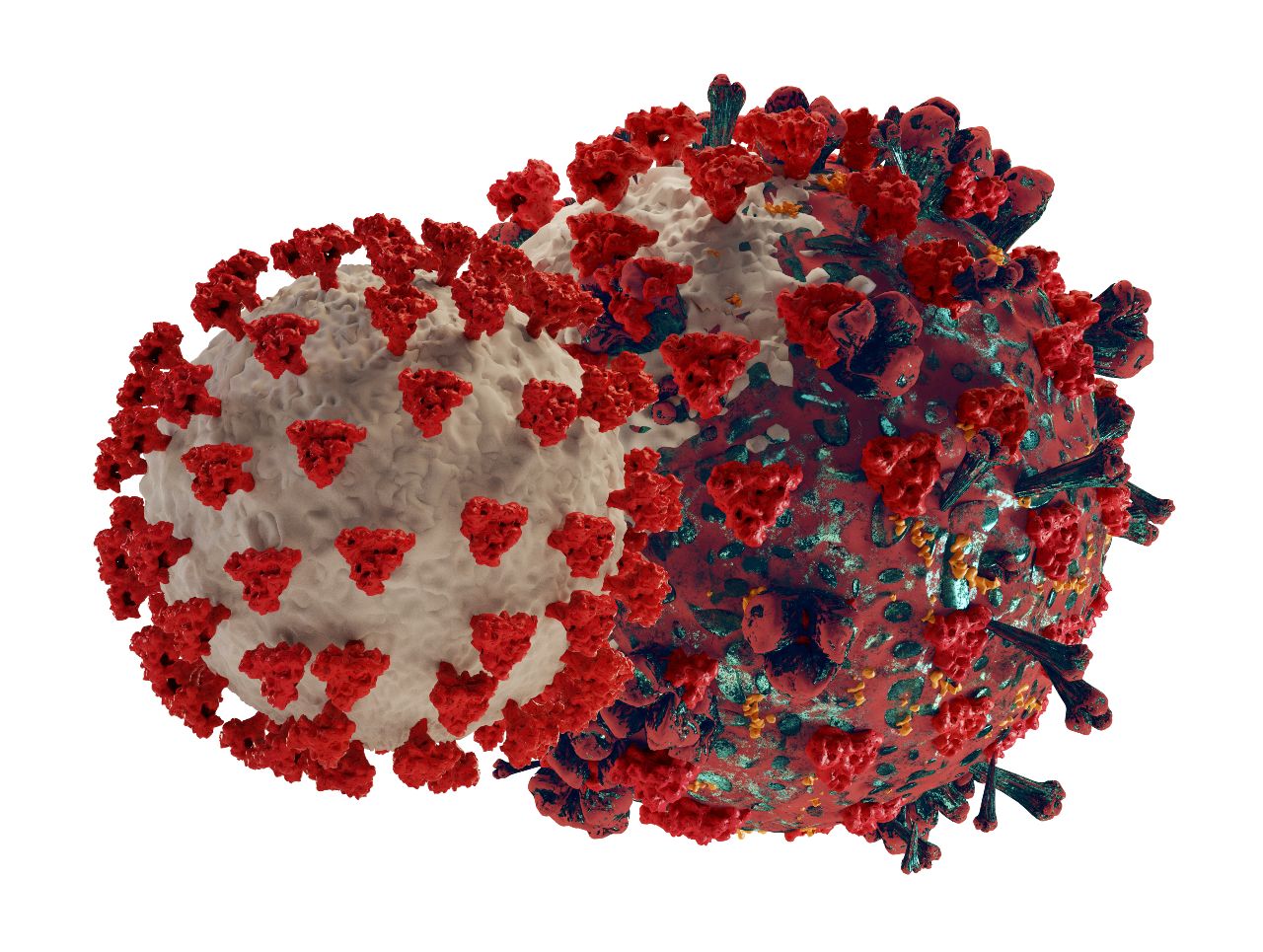 Covid virus illustration showing a mutation
